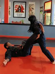 Image result for Kyoku Kenjutsu Kai