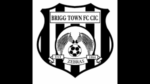 Image result for Brigg Town Cricket Club