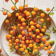 Afbeeldingsresultaat voor broad ripple yellow currant tomato