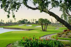 Image result for Avro Golf Club