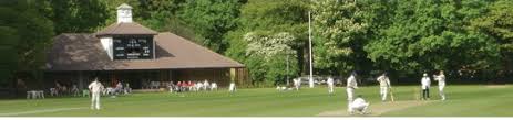 Image result for Walton-On-Thames Cricket Club