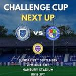 Image result for Haywards Heath Town Ladies Football Club