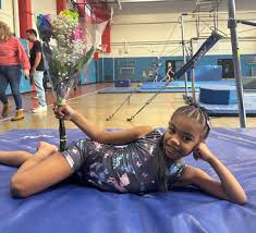 Image result for Aylesbury School Of Gymnastics