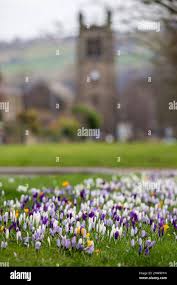 Image result for Calder Valley Arlfc