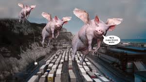 Image result for flying pigs