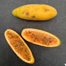 Attēlu rezultāti vaicājumam “Poa angustifolia fruit”