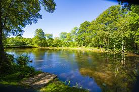 Image result for Bollington & Royal Oak Angling Society