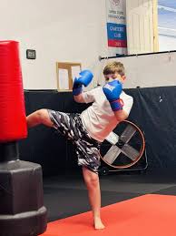 Image result for United Dojos Kickboxing