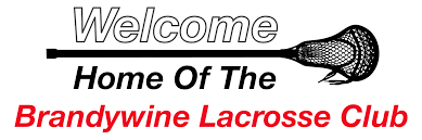 Image result for Welwyn Lacrosse Club