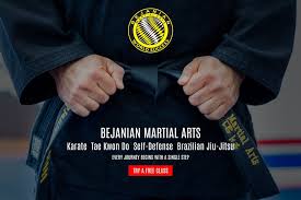 Image result for Beeches Martial Arts
