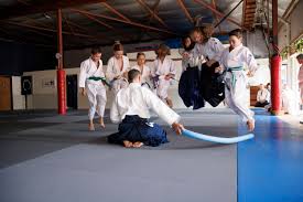 Image result for Newcastle Aikido Club