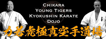 Image result for Chikara Dojo Of Kyokushin Karate