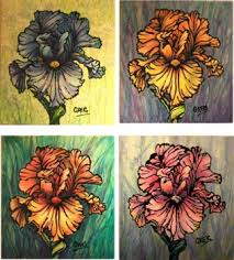 Image result for True stiners