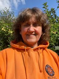 Image result for Wey Valley Netball Club