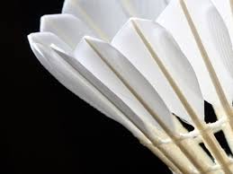 Image result for Golborne Badminton Club