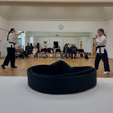 Image result for Logie Durno Choi Kwang Do