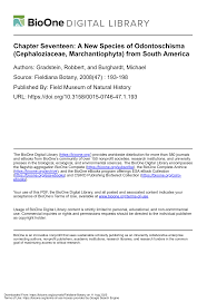 Attēlu rezultāti vaicājumam “Odontoschisma denudatum cells”