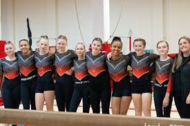 Image result for Holbeach and Fenland Gymnastics Club