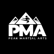 Image result for Professional  Martial Arts Academy