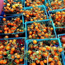 Afbeeldingsresultaat voor broad ripple yellow currant tomato