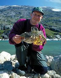 Image result for Myoxocephalus scorpioides