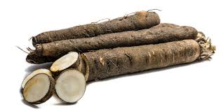 Image result for Schwarzwurzeln