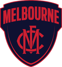 Image result for Melbourne United Football Club