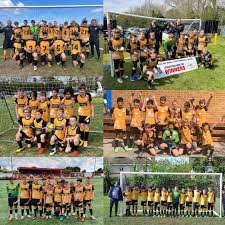 Image result for Ashtead Football Club