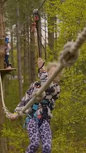 Image result for Go Ape! Dalby