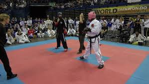 Image result for Turners Tae Kwon Do