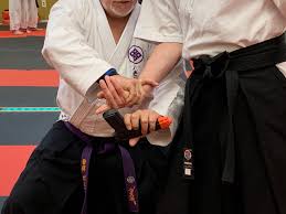 Image result for Ryuko Dojo