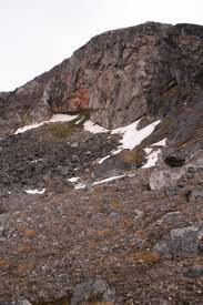 Attēlu rezultāti vaicājumam “Gloeocapsa rupestris”