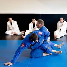 Image result for Halton BJJ & Judo Club