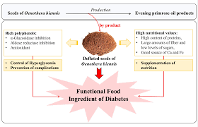 Attēlu rezultāti vaicājumam “Oenothera biennis fruit”