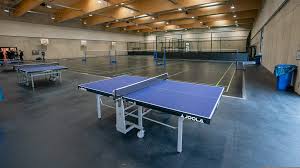 Image result for Cfe Watton Table Tennis Club