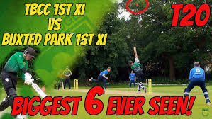 Image result for Buxted Park Cricket Club