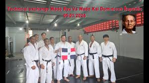 Image result for Karate Wado Kai