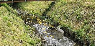 Image result for Pontblyddyn Cricket Club