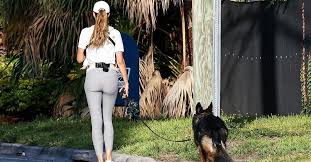 Image result for Ergo Baby Carrier Gisele Bundchen and Benjamin Brady