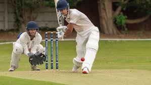 Image result for Hyde Cricket Club