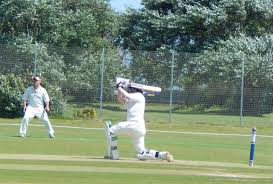 Image result for Redlynch and Hale Cricket Club