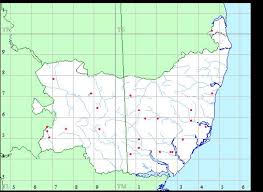 Attēlu rezultāti vaicājumam “Bryum amblyodon”