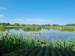 Image result for Mendip Gliding Club Limited