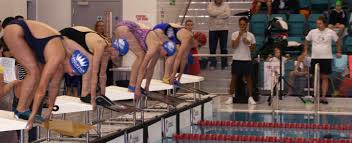 Image result for Swansea Finswimming Club