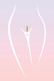 Image result for schamhaar