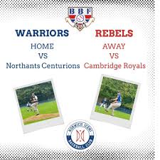 Image result for Norwich Iceni Baseball Club