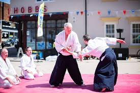 Image result for Sho Shin Kan Aikido Club
