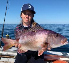 Image result for Petrus rupestris