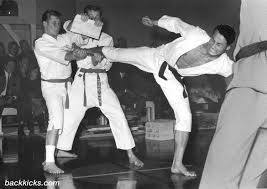 Image result for Park's Martial Arts