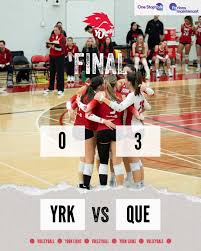 Image result for York University Volleyball Club